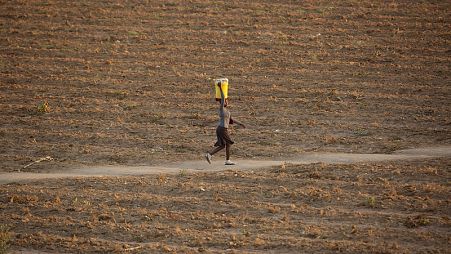 Una mujer camina por un sendero en un campo desierto en Zvimba, zona rural de Zimbabwe, el 26 de junio de 2021.