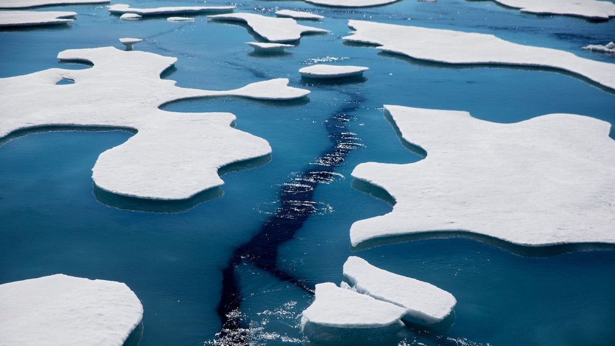 Secondo un nuovo studio, l'Artico potrebbe diventare "libero dai ghiacci" entro un decennio.