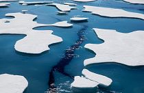 El Ártico podría quedar "libre de hielo" en una década, según un nuevo estudio.
