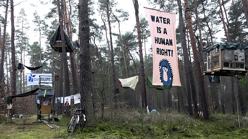 Presidio degli ambientalisti con le case sugli alberi nella foresta vicino allo stabilimento Tesla in Germania