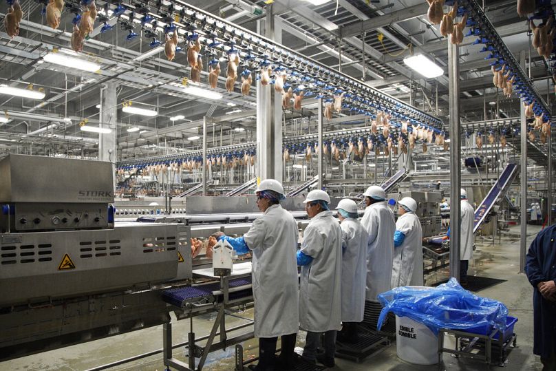 Workers process chickens at a factory in Freemont, NE, December 2019