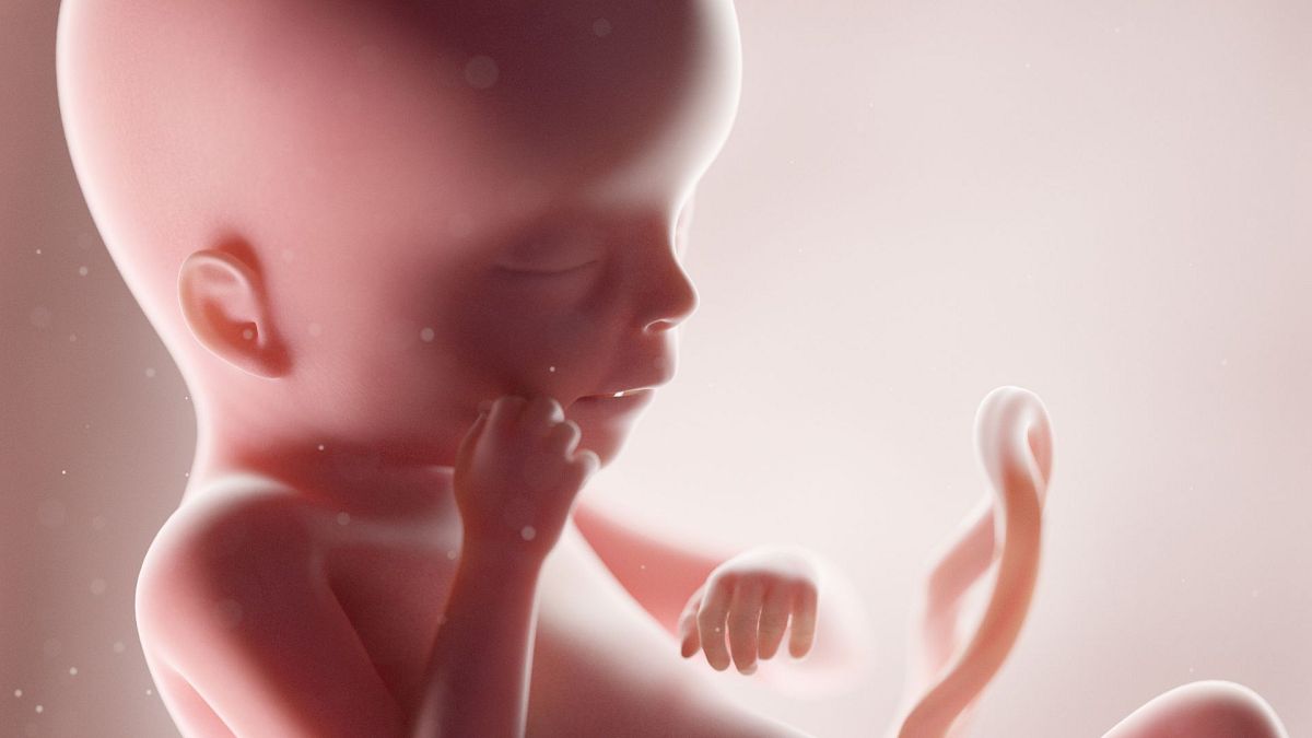 Scientists create 'mini-organs' for the first time from human stem cells taken from wombs thumbnail