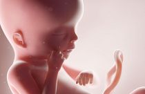 Scientists have created mini-organs from amniotic fluid for the first time.