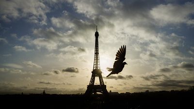 En esta foto de archivo del 15 de septiembre de 2015, un pájaro vuela frente a la Torre Eiffel, en París.