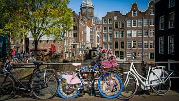 Почему бы не встретить весну в Амстердаме в эти пасхальные каникулы?