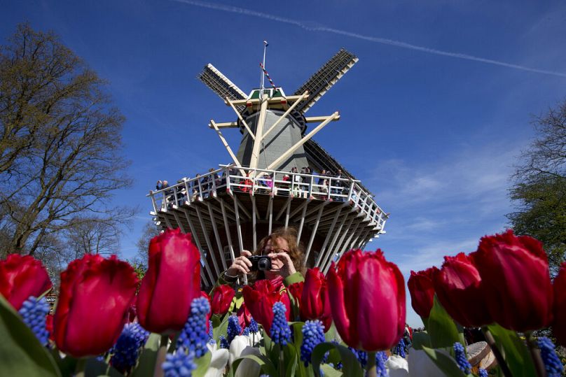 Un turista fotografa i tulipani in fiore al Keukenhof, conosciuto come il Giardino d'Europa, un parco primaverile con circa sette milioni di bulbi di fiori, non lontano da