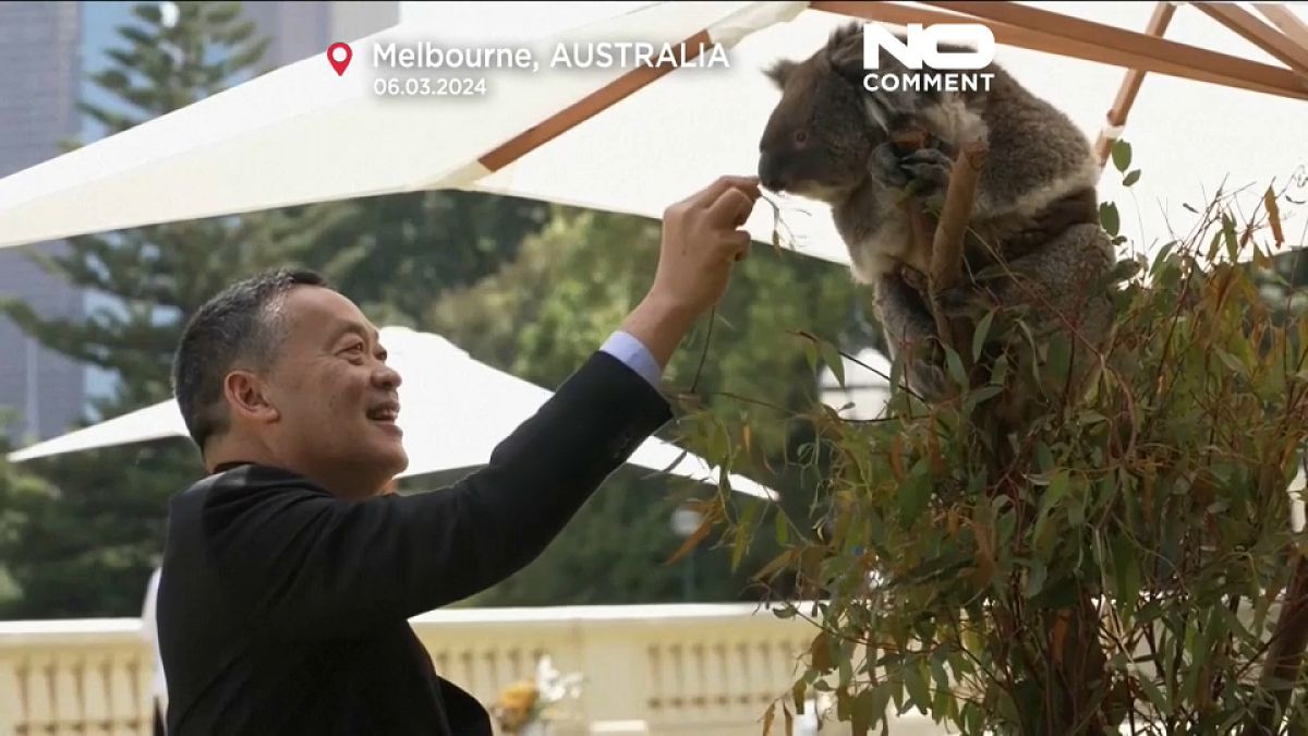 الزعماء الآسيويون يحيون الكوالا في قمة أستراليا