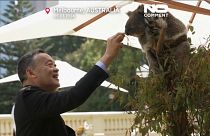 الزعماء الآسيويون يحيون الكوالا في قمة أستراليا