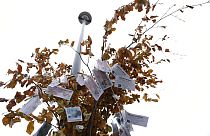 De faux billets de 350 millions de livres sont suspendus à un "arbre à argent magique" devant les Chambres du Parlement à Londres, mardi 7 janvier 2020.