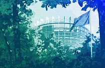 The European Parliament building in a forest, illustration