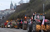 Traktoren unterhalb der Prager Burg. 7. März 2024