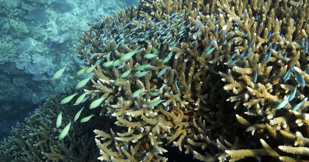 EU scientists say ocean surface temperatures reach record high in February EU scientists say ocean surface temperatures reach record high in February