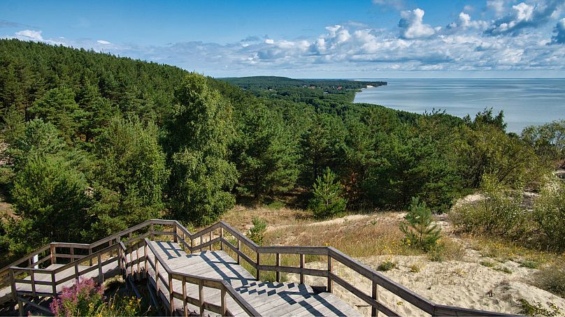 The the Curonian Spit sand dune stretches down the coastline of Lithuania.