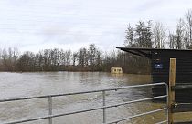 A trailer is under water as the river Aa floods the area in Blendecques, northern France, Thursday, Jan.4, 2024. 
