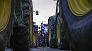 Archivo: Protesta agrícola frente al Parlamento griego en Atenas, Grecia, el martes 20 de febrero de 2024.