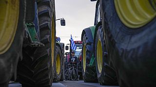Archive picture- Protesting farmers stand in front of the Greek parliament in Athens, Greece, Tuesday, Feb. 20, 2024