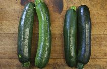 Kennen Sie Zucchini? Viele junge Leute in Frankreich wissen laut einer Studie nicht, wie dieses Gemüse genannt wird