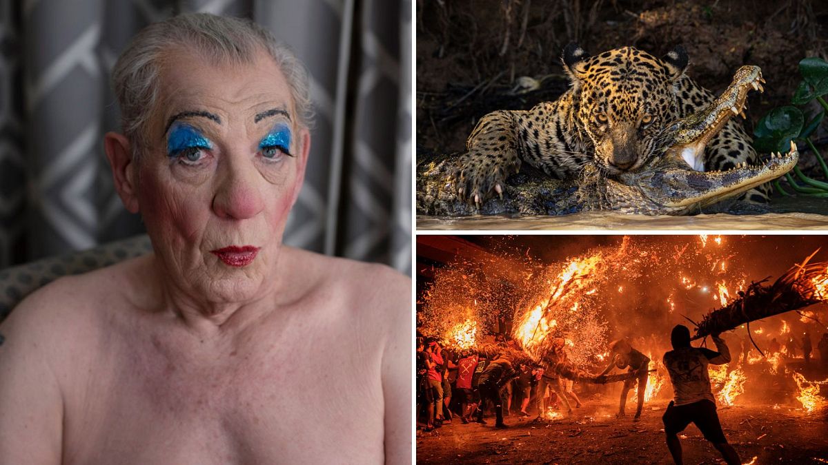 See the best of the best: Sony World Photography Awards Open Competition 2024 thumbnail