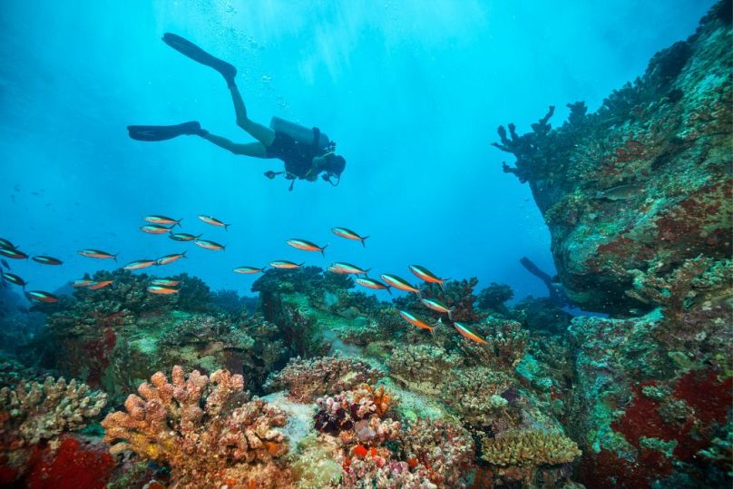 Anse Mondon, Pointe Grand Barb and Black Rock are popular dive spots