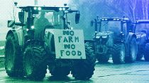 Landwirte protestieren vor dem Senedd, dem walisischen Parlament, Februar 2024