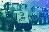Landwirte protestieren vor dem Senedd, dem walisischen Parlament, Februar 2024