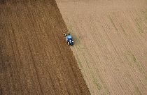 Widespread intensive agriculture is just one of the reasons that some two-thirds of Europe's soil is in ecologically poor condition.