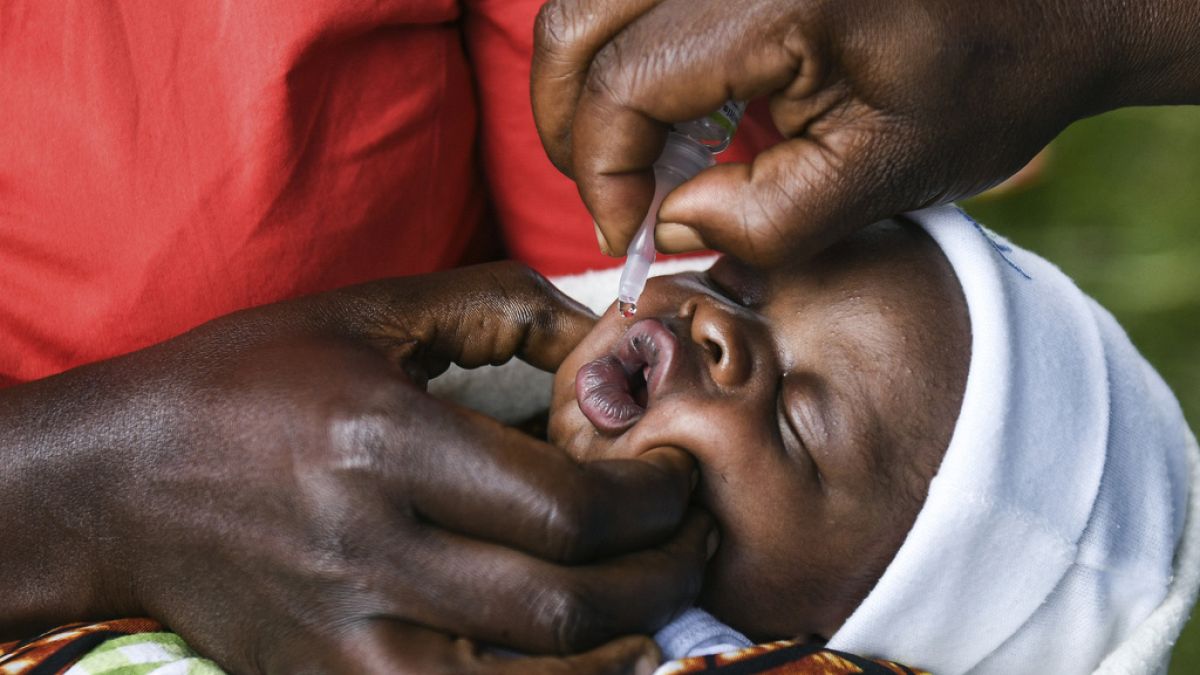 Afrika'da aşı kampanyası 
