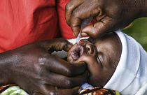 Afrika'da aşı kampanyası 