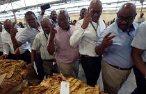 Tobacco auctioneers go through their drills during the opening of the tobacco selling season in Harare, Zimbabwe, Wednesday, March 13, 2024. 