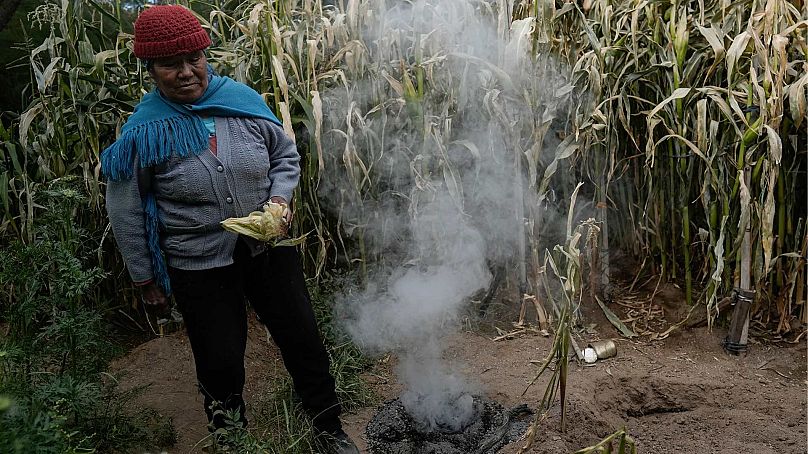 Irene Leonor Flores de Callata, 68, performs a brief ceremony to thank the Earth after inspecting her corn crop at her home in Tusaquillas, Jujuy Province, Argentina