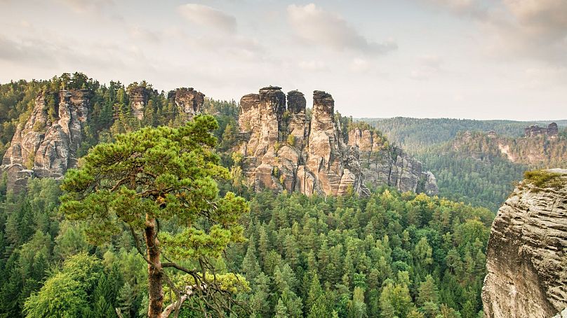 Sandstone Mountains in Saxony, Germany.