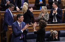 Одобрение проекта - политическая победа премьер-министра Испании Педро Санчеса