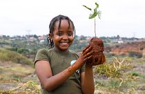 WATCH: This Kenyan 10-year-old is taking on climate change by planting trees
