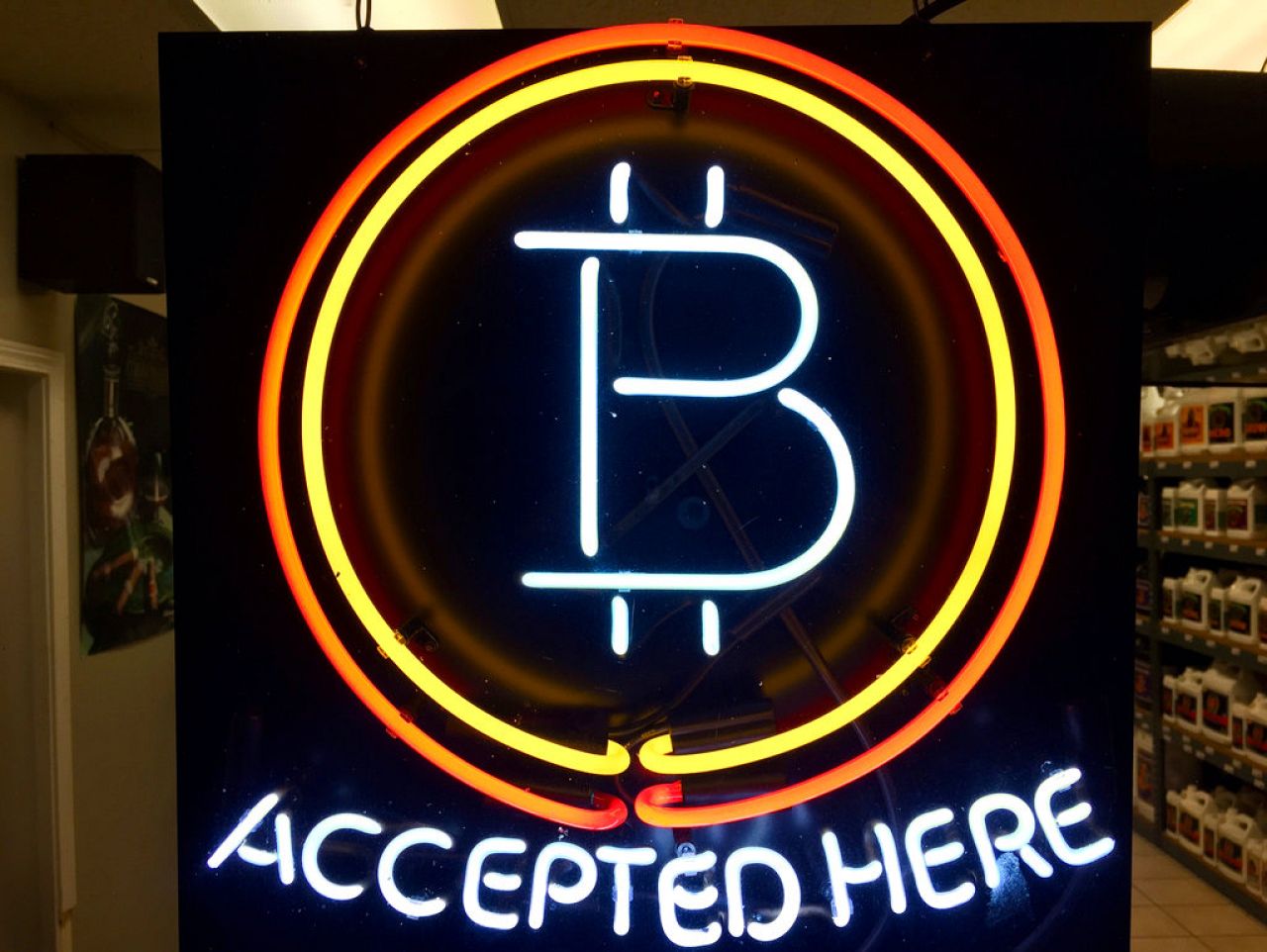 File, photo, a neon sign hanging in the window of Healthy Harvest Indoor Gardening in Hillsboro, Ore., shows that the business accepts bitcoin as payment.