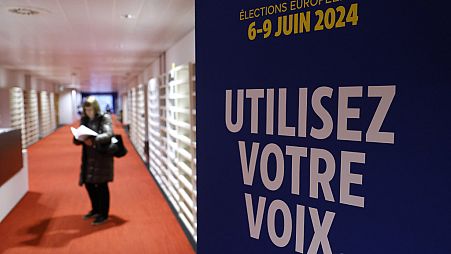 Выборы в Европарламент состоятся 6-9 июня