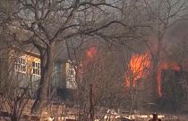 Incendi in Russia nel territorio di Primorye