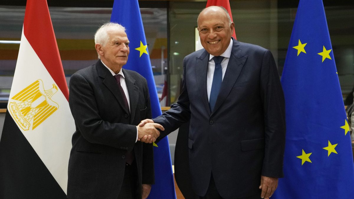 Avrupa Birliği Dış Politika Şefi Josep Borrell, Ocak 2024'te Brüksel'de Mısır Dışişleri Bakanı Sameh Shoukry ile el sıkışıyor