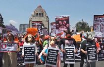 Mexico sale a la calle pidiendo más derechos para los animales
