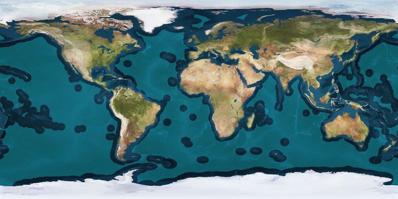 The high seas are defined as all parts of the ocean not included in any country's exclusive economic zone