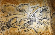 Drawings of animal figures are seen in the life size replica of Grotte Chauvet, or Chauvet cave, in Vallon Pont d'Arc, near Bollene, southern France