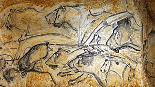 Drawings of animal figures are seen in the life size replica of Grotte Chauvet, or Chauvet cave, in Vallon Pont d'Arc, near Bollene, southern France