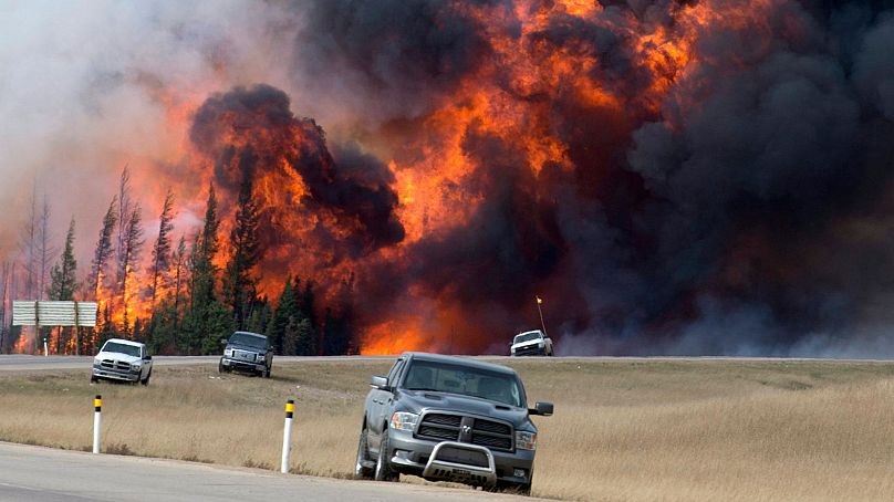 آتش‌سوزی جنگل‌ها در آلبرتای کانادا، ۲۰۱۶