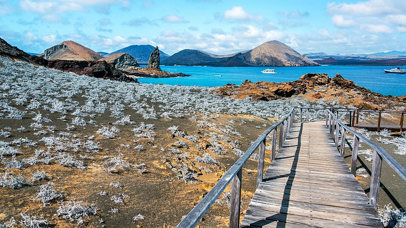 The Galapagos Islands are doubling their entry fee for tourists.