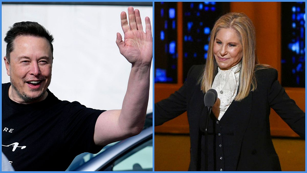 Barbra Streisand miatt vontak meg egy díjat Elon Musktól