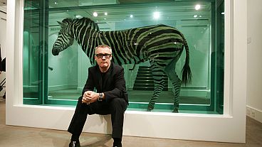 Ein Bild aus dem Jahr 2008, Damian Hirst vor einem seiner Tiere in Formalin, mit denen er berühmt geworden ist. 