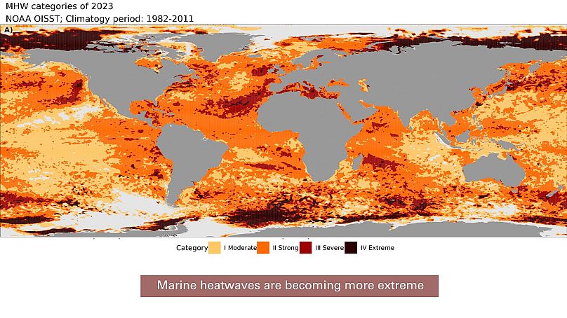 Global map showing the highest Marine Heatwave category in each pixel over 2023 (reference period 1982–2011).
