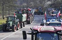 مزارعون بولنديون غاضبون يغلقون طريقا سريعا بين ألمانيا وبولندا احتجاجا على السياسة الزراعية الأوروبية