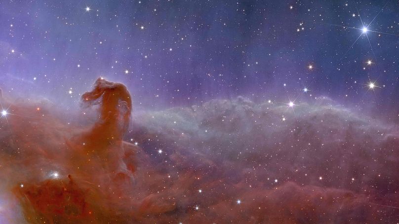سحابی کله اسب از دریچه تلسکوپ اقلیدس