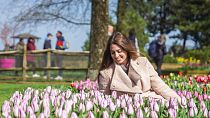Why not tiptoe through the tulips at Keukenhof this spring?