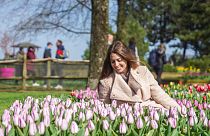Why not tiptoe through the tulips at Keukenhof this spring?